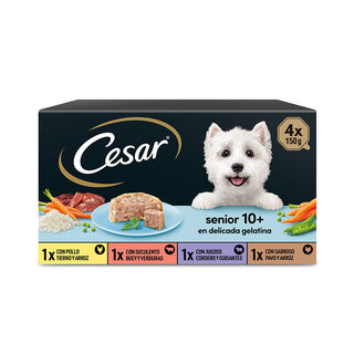 Cesar Carnes Mixtas Tarrina en Gelatina para Perros Senior - Multipack